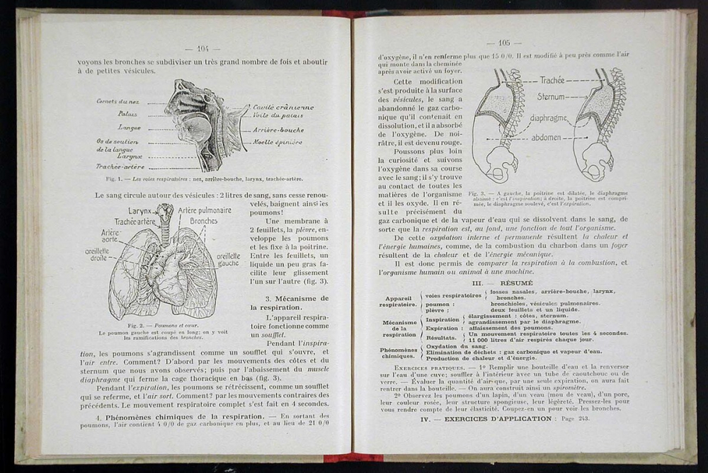 Les Sciences au certificat d'études (préparation au certificat d'études primaires - écoles de filles).