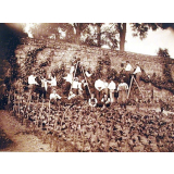 Elèves de l'ENG d'Aurillac pinçant la vigne. 