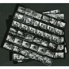 Célébration du bicentenaire de la naissance de Victor Hugo : école maternelle et élémentaire de Victor Hugo 