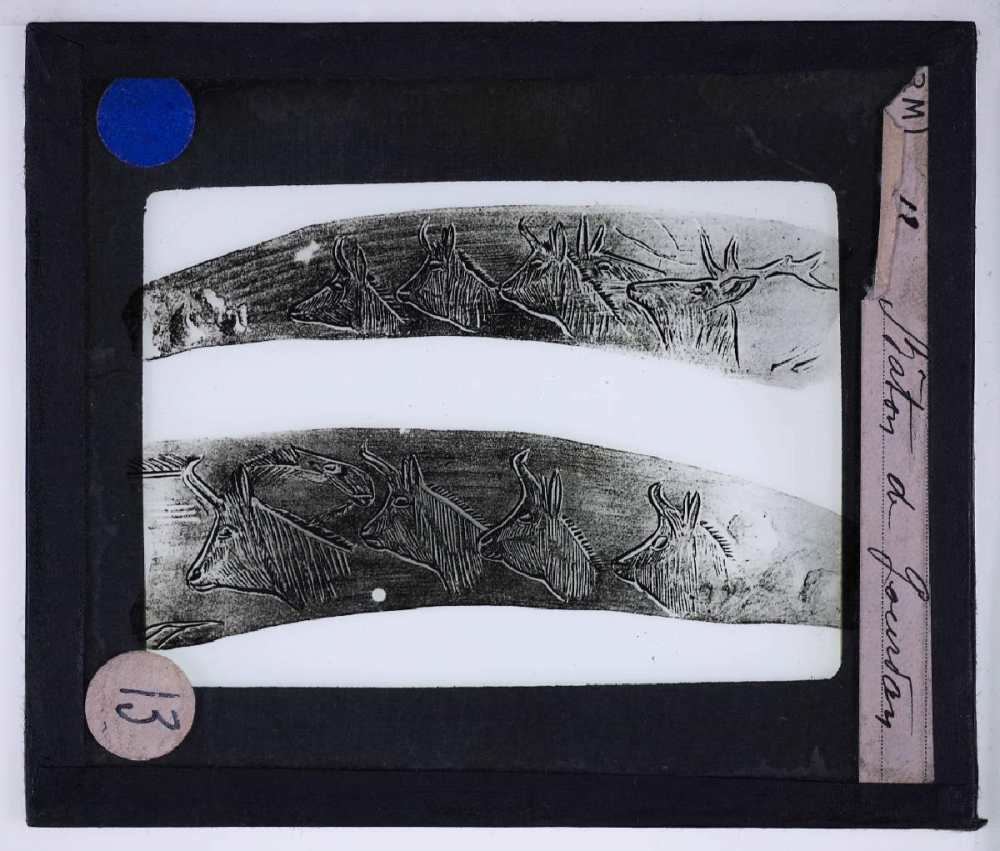 Art paléolithique. Bâton de Gourdon.