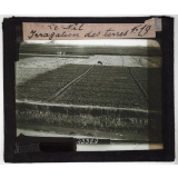 Le Nil, inondations et irrigations. Irrigation des terres.