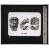 Comment doit-on acheter un cheval ? Mâchoire 10 ans.