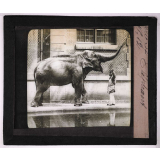 Bêtes de somme. Eléphant.