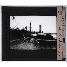 Les Animaux des régions polaires australes (baleines, phoques, oiseaux). Baleinier revenant de la chasse. 