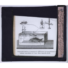 Les Conditions de la vie dans les eaux. Dispositif destiné à mesurer la différence de température entre un animal aquatique et l'eau dans laquelle il vit. 