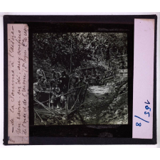 De la Somme à l'Aisne. L'ancien front, septembre 1914- mars 1917. Un ravin en été aux confins de l'Oise et de l'Aisne (2e ligne, Cie de réserve).