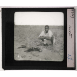 Chasse au grand gibier africain du Mozambique. Civette.