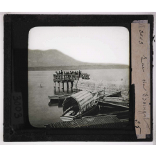 L'Eau dans la nature. Lac du Bourget.