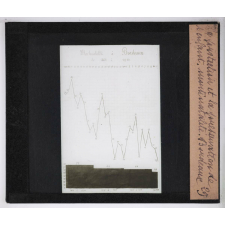 La Protection et la préservation de l'enfant avant sa naissance. Morti-natalité, Bordeaux.