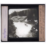 Norvège, la forêt. Le bois amené à la rivière pour le flottage.