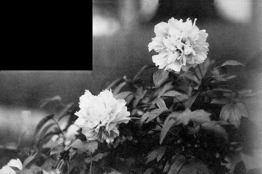 Ecole Nationale Professionnelle - Voiron. (Isère). 1931-1938.