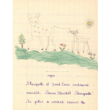 Cahier de roulement n° 11