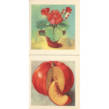 L'imagier du Père Castor 5. Au jardin.