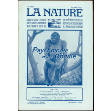 Psychologie d'un Gorille