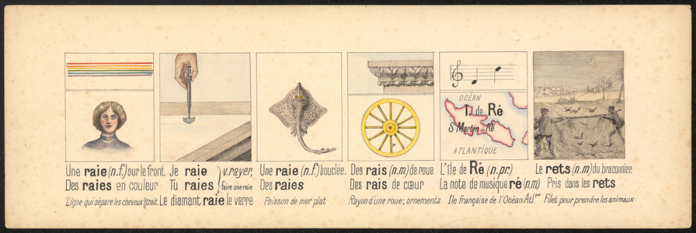 Planche illustrée pour apprendre l'homonymie : raie / rai / Ré / rets
