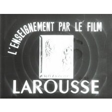 Insectes : Papillons et pucerons