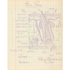 Sciences naturelles