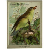 Images réclame à collectionner. Cacao Van Houten. Les oiseaux. 
