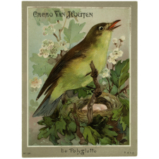 Images réclame à collectionner. Cacao Van Houten. Les oiseaux.