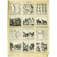 Le cheval