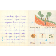Cahier d'exercices de sciences
