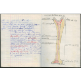 Cahier de sciences