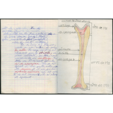 Cahier de sciences