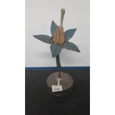 Fleur de douce-amère