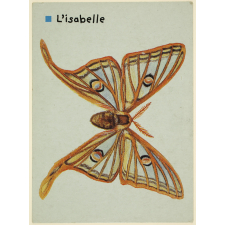 Le vulcain et l'isabelle