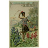 Cartes réclame. Cacao à l'avoine Hausen de Cassel. L'origine des fleurs.