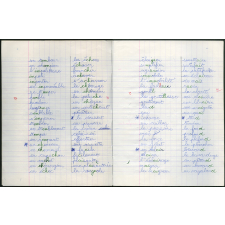 Cahier de mots