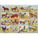Planches d'images. Animaux et flore