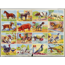 Planches d'images. Animaux et flore