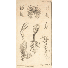 Le spectacle de la Nature ou Entretiens sur les particularités de l'histoire naturelle. qui ont paru les plus propres à rendre les Jeunes-Gens Curieux & à leur former l'esprit. Première partie contenant ce qui regarde les Animaux & les Plantes.