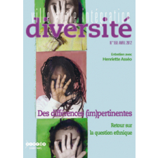 Des différences (im)pertinentes. Retour sur la question ethnique