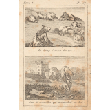 Fables de la Fontaine, précédées de la vie d'Esope, suivies de Philémon et Baucis, et des filles de Minée. Illustrations.