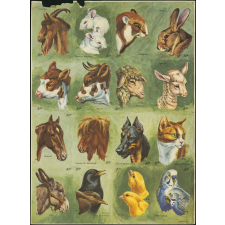 Planches d'images animalières