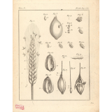 Planches de sciences naturelles
