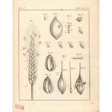 Planches de sciences naturelles