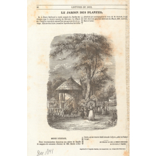 Le jardin des Plantes.
