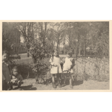 Quatre enfants dans un jardin