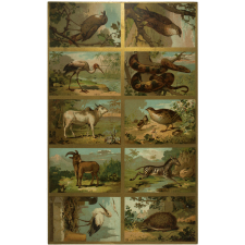 Planches d'animaux.