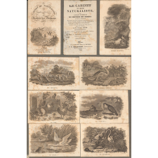 Le Cabinet du jeune naturaliste ou tableaux intéressans de l'histoire des animaux de M. Thomas Smith, revue, corrigée, et augmentée d'un grand nombre d'anecdotes inédites et des plus curieuses par A. Antoine. Tome quatrième.
