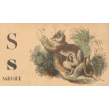 Alphabet. Sari-gue S s. 