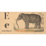 Alphabet. É-lé-phant E e. 