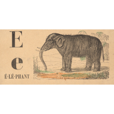 Alphabet. É-lé-phant E e. 
