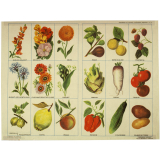Planches d'images.