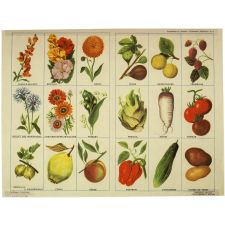 Planches d'images.