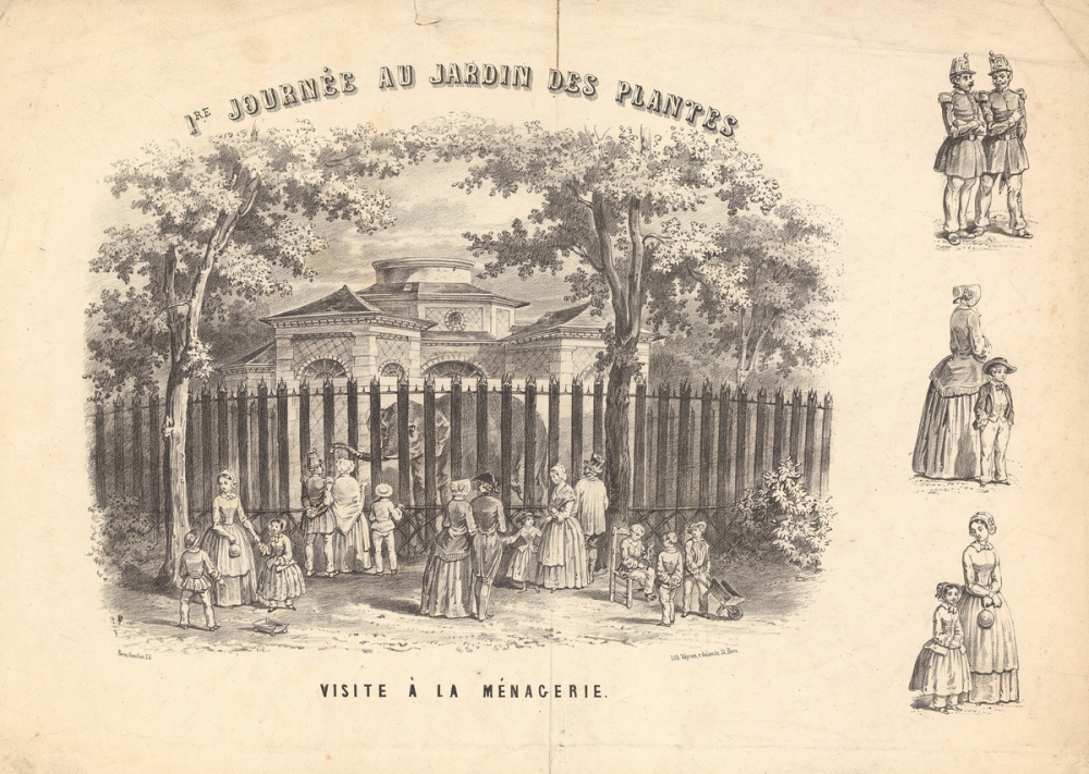Visite à la ménagerie. Première journée au Jardin des Plantes.
