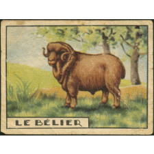 Le Bélier